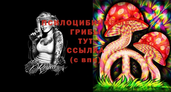 скорость Алзамай
