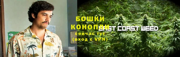 сатива Алексин