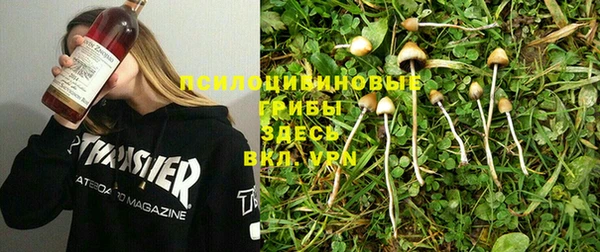 экстази Алексеевка