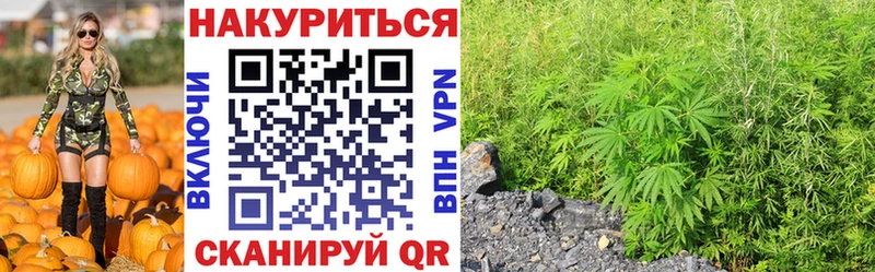 блэк спрут ссылки  Кохма  Шишки марихуана THC 21%  купить наркотик 